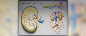 Causes of urinary tract infection