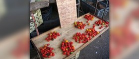 Cayenne pepper weight loss