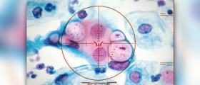 Get Tested for Chlamydia: STDs on the Rise in New Brunswick