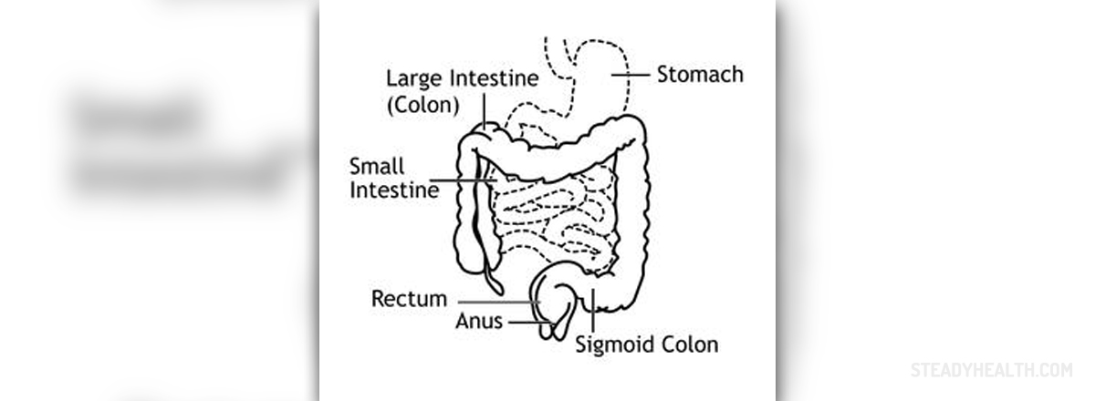 Chronic dyspepsia symptoms | Gastrointestinal Disorders articles | Body ...