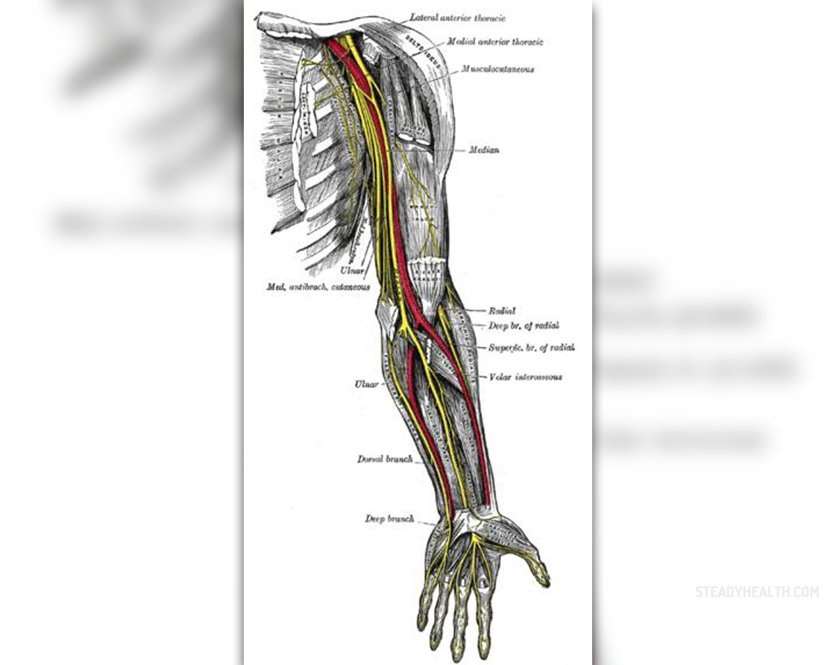 pins and needles left side of body