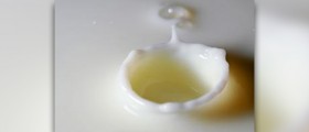 Clogged milk duct