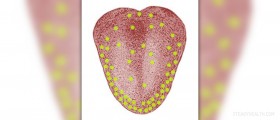Coating on tongue
