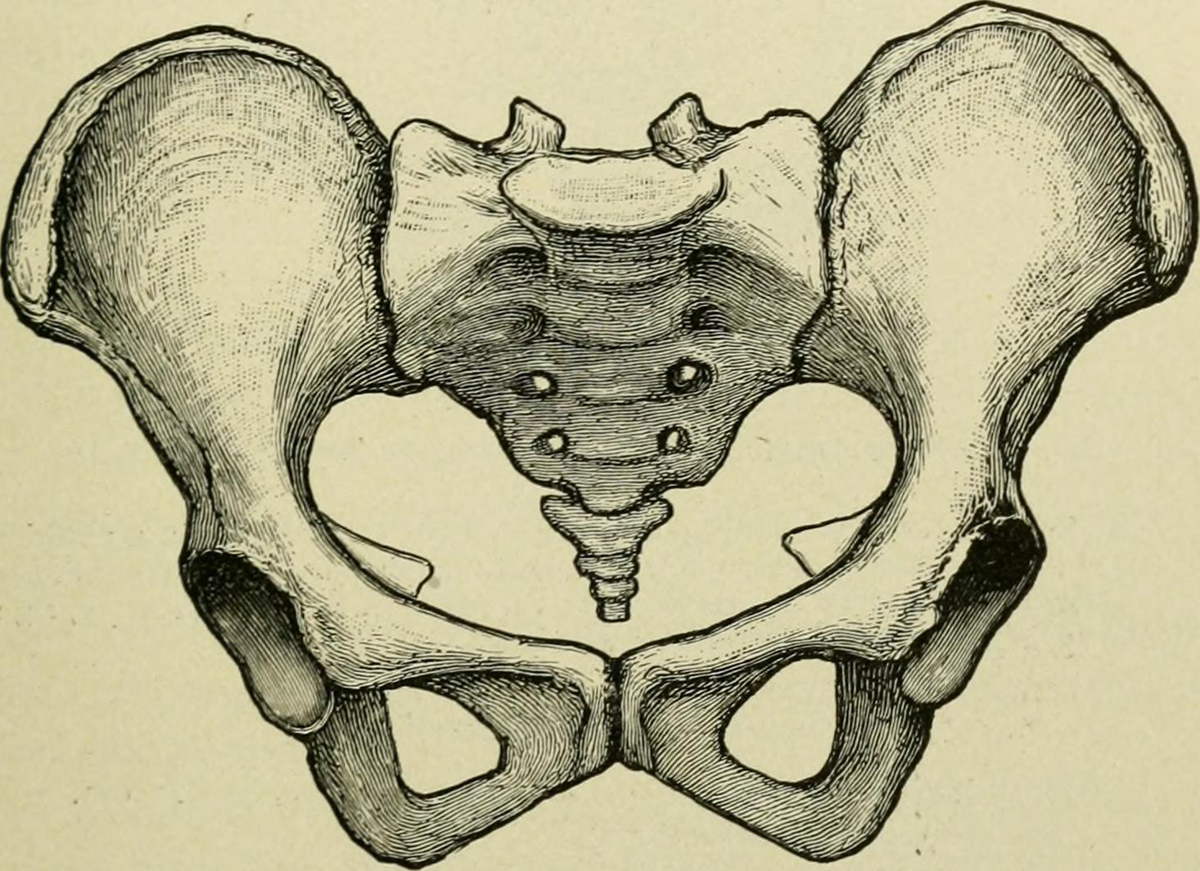 pain-in-coccyx-area-general-center-steadyhealth