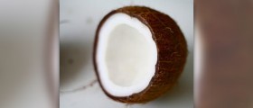 Coconut milk nutrition
