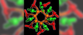 Collagen supplements - Do they work