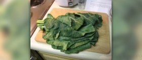 Collard greens nutrition