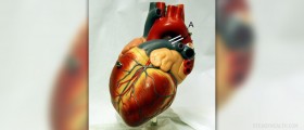 Congestive heart failure in the elderly