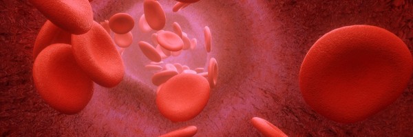 Creatinine levels in blood