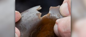 Dangers of food additives and preservatives