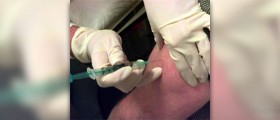 Did you know that the smallpox vaccine was the first successful vaccine?