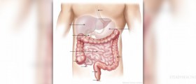 Digestion of food