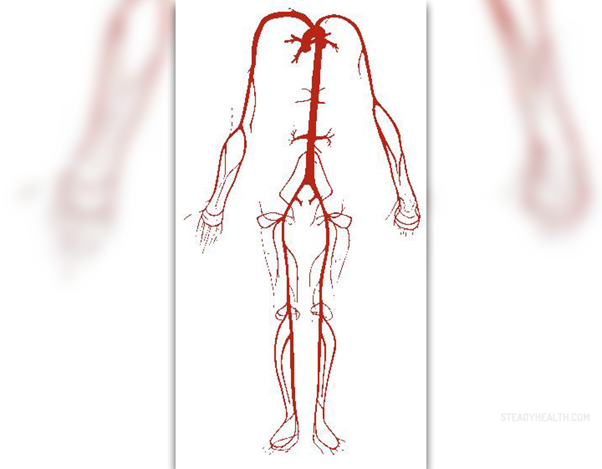 dilation-of-blood-vessels-general-center-steadyhealth