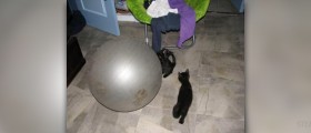 Discover the limitless benefits of exercise balls