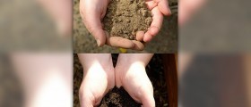 Disorder of eating dirt