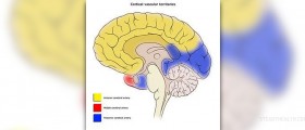 Disorder of the nervous system