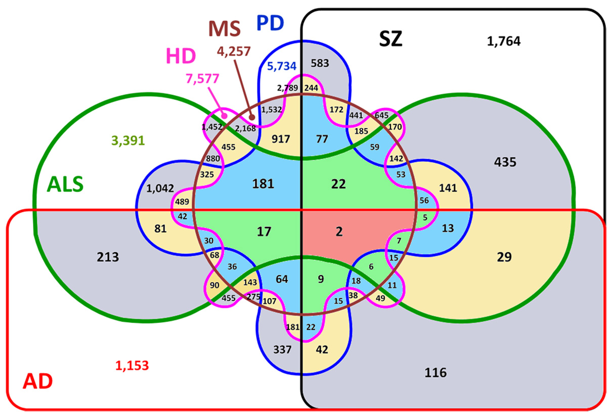 genetic-disorder-types-general-center-steadyhealth