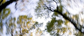 Dizziness won't go away