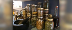 IVF herbal support