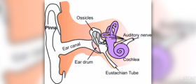 Ear pain relief