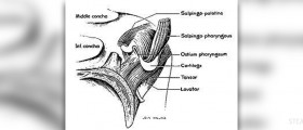 Ear pressure causes
