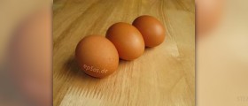 Egg yolk nutrition facts