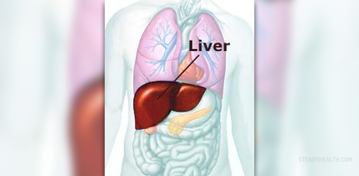 how-long-do-liver-enzymes-stay-elevated