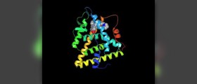 Estrogen for osteoporosis