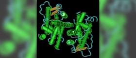 Estrogen use in men