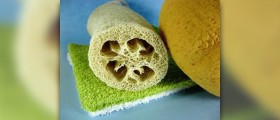 Exfoliating products information