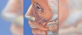 Facial fat grafting