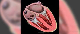 Facts about open heart surgery