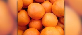 Facts about oranges