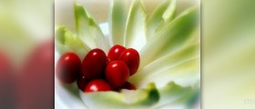 Facts for healthy eating