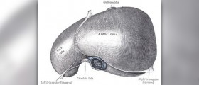 Fatty liver diet