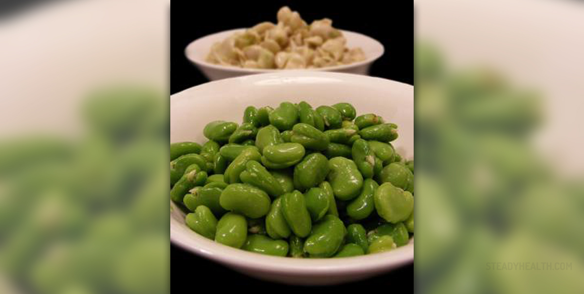 fava-beans-nutrition-facts-general-center-steadyhealth