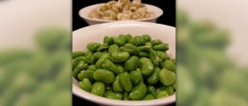 Fava beans nutrition facts