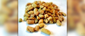 Fenugreek capsules facts