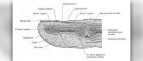 Finger pain causes