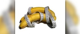 Foods that make you lose weight