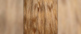 Frizzy hair solutions