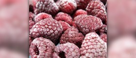 Frozen foods diet
