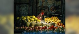 Fruits high in protein