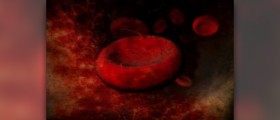 Function of red blood cells