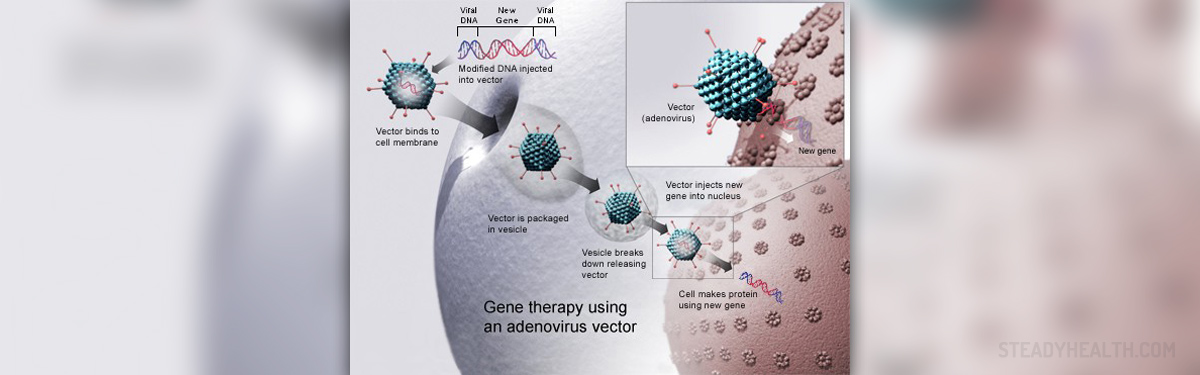 gene therapy for scid