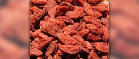 Goji berries health benefits