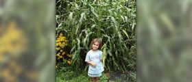 Growing taller naturally - basic tips on how to get taller