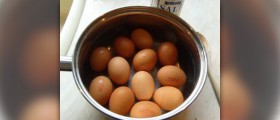 Hard boiled egg nutrition