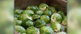 Health benefits of brussel sprouts