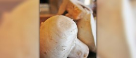 Health benefits of button mushrooms